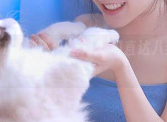 别犹豫，51吃瓜直达八卦下载终点