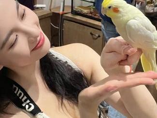hlcool发布：黑科圈的奇妙想象，默默无声到被路人“点赞”！