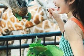 今天的最新五一黑料，看完我都忍不住开始八卦大讨论了，哈哈哈。