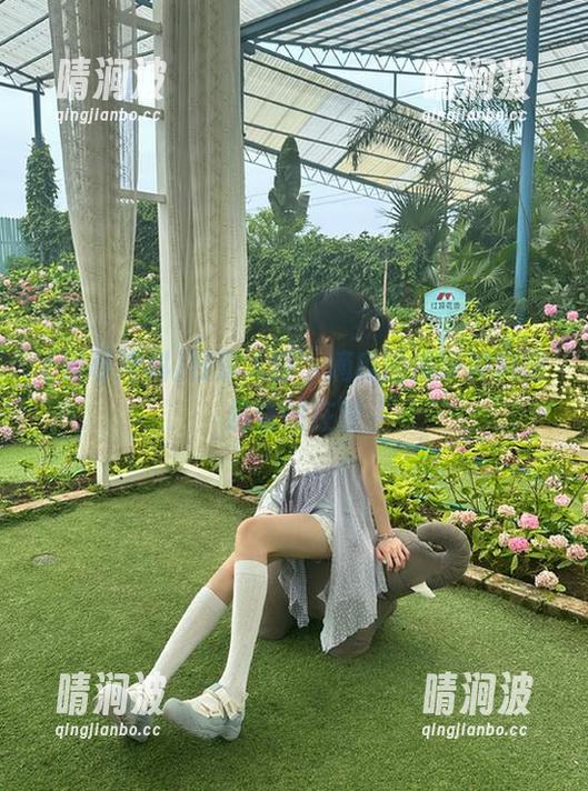 黑哥冲料 夜深人静,摘瓜的黑哥冲料网站依然在线